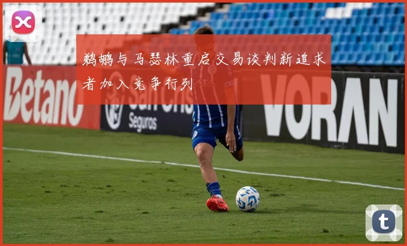 鹈鹕与马瑟林重启交易谈判新追求者加入竞争行列
